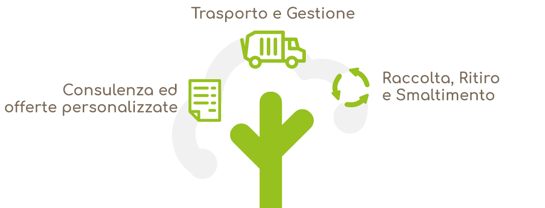 Servizi di TODA Ambiente